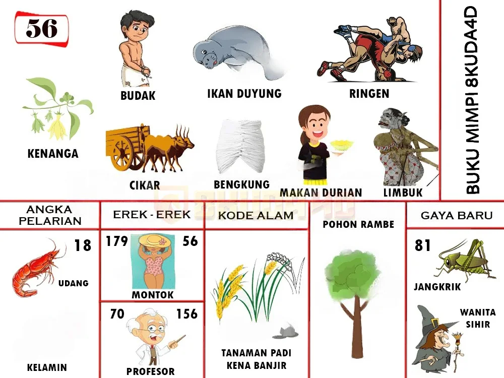 buku mimpi erek erek togel 56